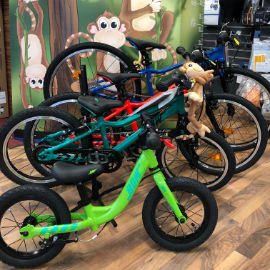 Fahrradshop PEDALUS - Garber Roland